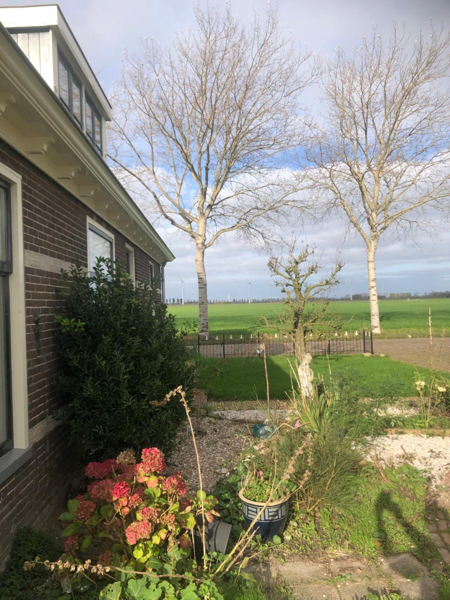 Appartement In Schuur Twisk Luaran gambar